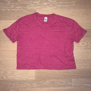 Alternative Apparel striped crop top